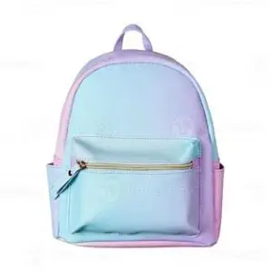 PURSH BAG